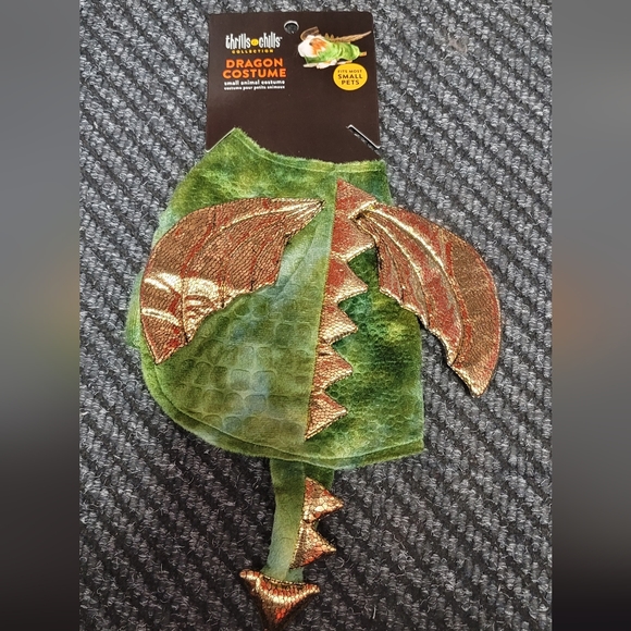 Small Pet Dragon costume - Picture 2 of 3